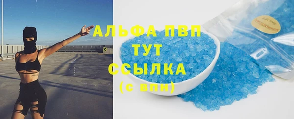 мдпв Вяземский