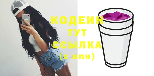 мдпв Вяземский