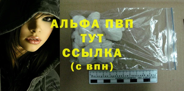 мдпв Вяземский