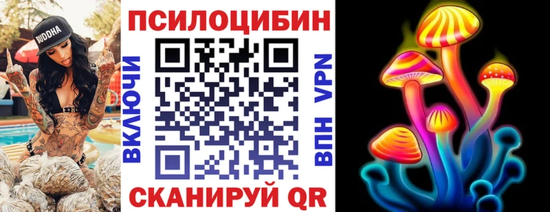 наркошоп  Железноводск  Галлюциногенные грибы мицелий 